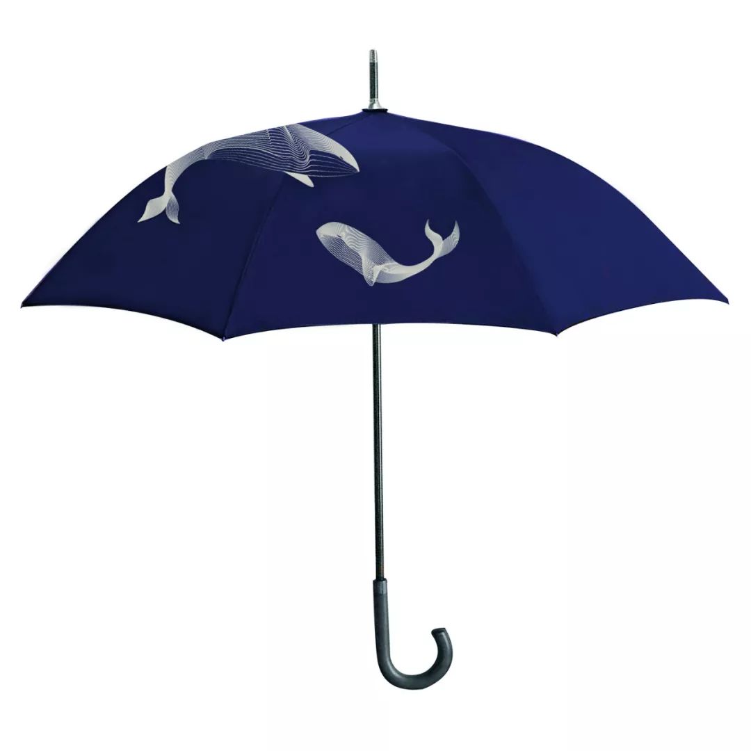 dsafe640.jpeg dsafe640.jpeg